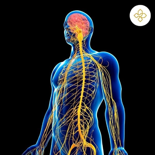 neurologie cluj