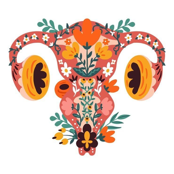 Ecografia-transvaginala-1 Ecografia transvaginală